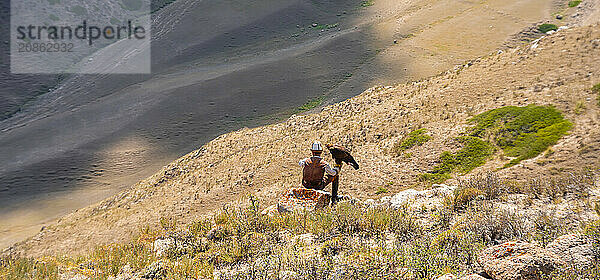 Traditional Kyrgyz eagle hunter with eagle in the mountains  hunting  near Bokonbayevo  Issyk Kul region  Kyrgyzstan  Asia