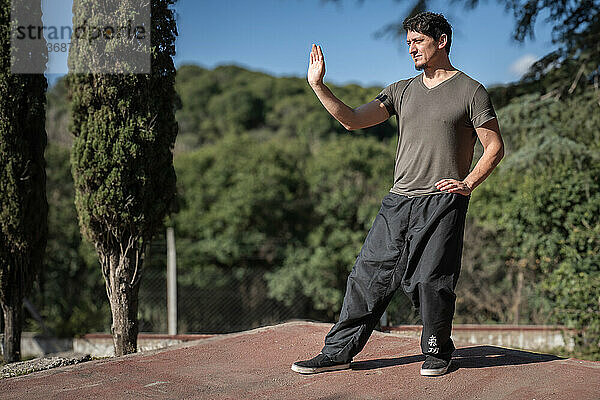 The third posture of the Bai Hu program  the static stance Santi Shi  focusing on pushing strength  being practiced outdoors by a man