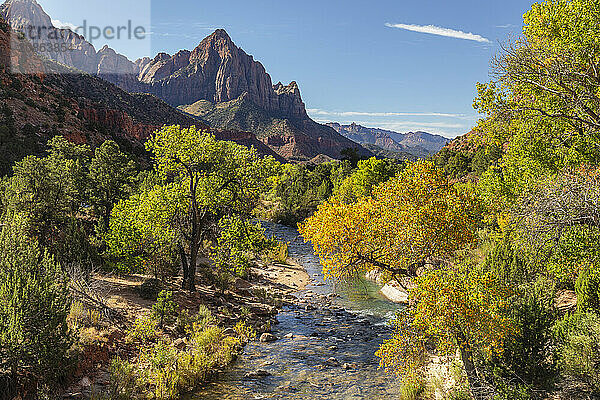 View from Virgin River to Watchman Mountain  Zion National Park  Colorado Plateau  Utah  USA  Zion National Park  Utah  USA  North America