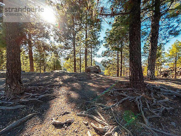 Landscape on the trails up to Roque Nublo in Gran Canaria  Canary Islands