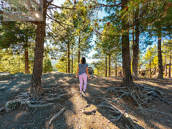 A woman walking in the landscape on the trails up to Roque Nublo in Gran Canaria  Canary Islands