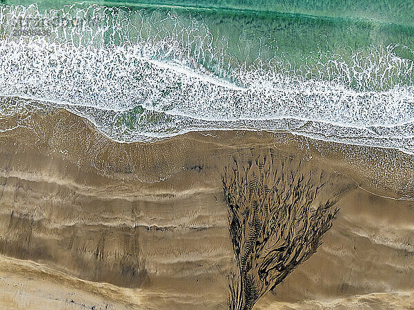 Aerial view of beach and sea  waves  spray  coast  river  Senja  Troms  Norway  Europe