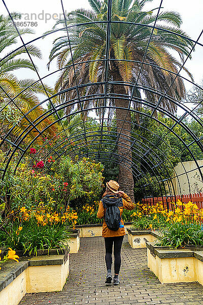 A woman wearing a hat and a backpack walks through a garden. The garden is filled with yellow flowers and a large tree. The woman is enjoying her walk and taking in the beauty of the garden