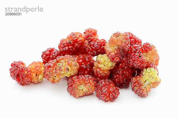 Strawberry spinach (Chenopodium foliosum  Blitum virgatum)  fruits on a white background  vegetable and ornamental plant