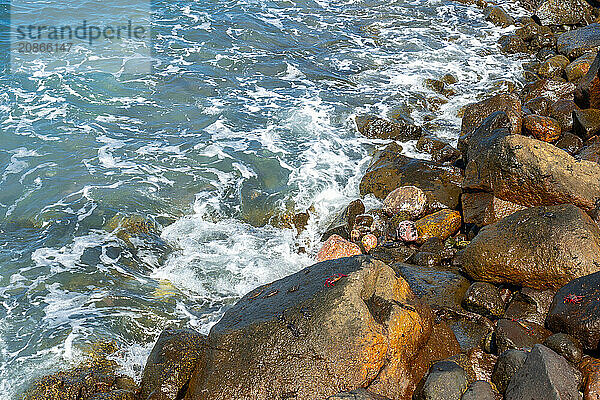 Red crabs on the beach of Puerto de Las Nieves in Agaete in Gran Canaria  Spain  Europe