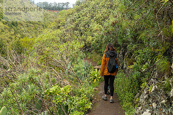 Woman walking along a path in the Laurisilva forest of Los tilos de Moya  Gran Canaria