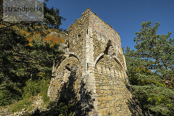 Tower of Felipe II  castillo viejo   old lookout tower that defended the passage  Roman road  Boca del Infierno route  Valley of Hecho  western valleys  Pyrenean mountain range  province of Huesca  Aragon  Spain  Europe