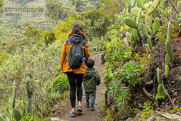 A mother with her son in the Laurisilva forest of Los tilos de Moya  Gran Canaria