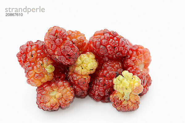 Strawberry spinach (Chenopodium foliosum  Blitum virgatum)  fruits on a white background  vegetable and ornamental plant