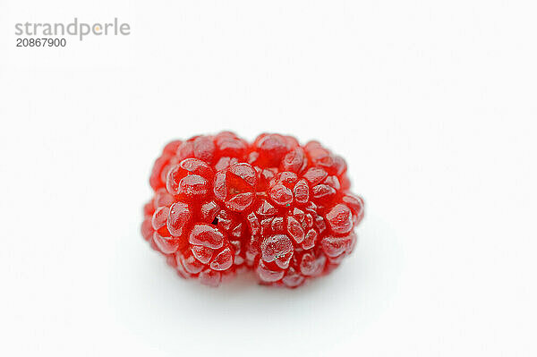 Strawberry spinach (Chenopodium foliosum  Blitum virgatum)  fruit on a white background  vegetable and ornamental plant