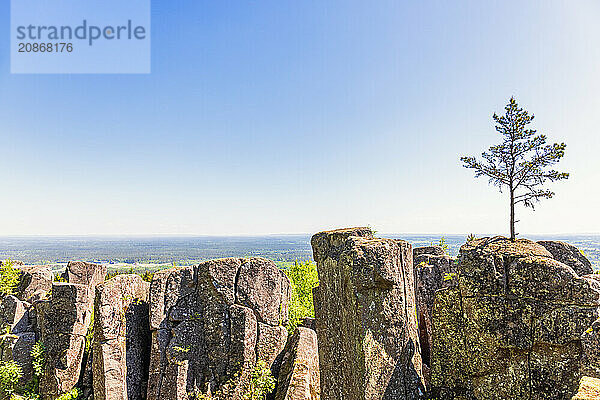 Pine tree growing on a rock pillar with a beautiful landscape view to the horizon with a clear blue sky  Billingen  Skövde  Sweden  Europe