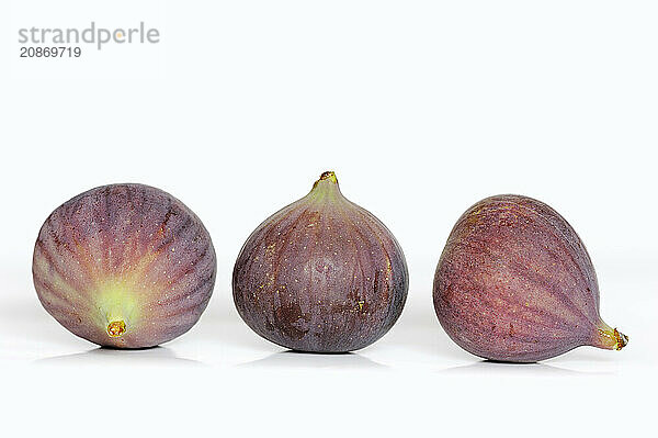 Real fig or fig tree (Ficus carica)  ripe figs against a white background