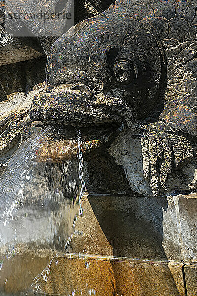 Western Nymph Fountain on the Neustädter Markt in Dresden  Saxony  Germany  Europe