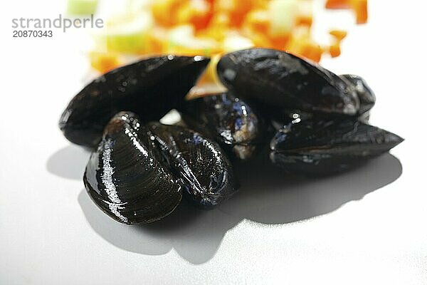 Raw mussels and vegetables on white