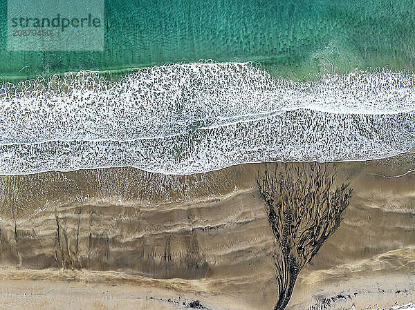 Aerial view of beach and sea  waves  spray  coast  river  Senja  Troms  Norway  Europe