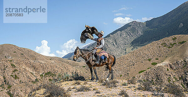 Traditional Kyrgyz eagle hunter riding with eagle in the mountains  eagle spreading its wings  hunting on horseback  near Bokonbayevo  Issyk Kul region  Kyrgyzstan  Asia