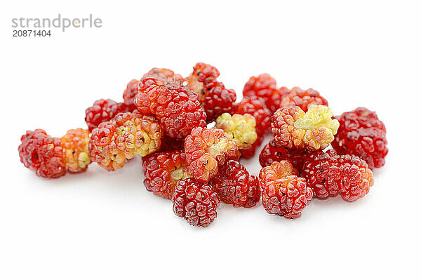 Strawberry spinach (Chenopodium foliosum  Blitum virgatum)  fruits on a white background  vegetable and ornamental plant