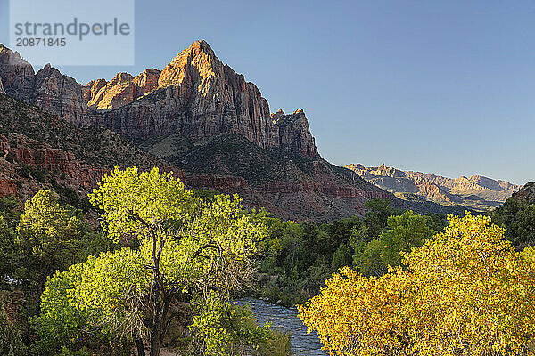 View from Virgin River to Watchman Mountain  Zion National Park  Colorado Plateau  Utah  USA  Zion National Park  Utah  USA  North America