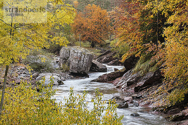 Aragón Subordán river  Selva de Oza  Valley of Hecho  western valleys  Pyrenean mountain range  province of Huesca  Aragon  Spain  Europe