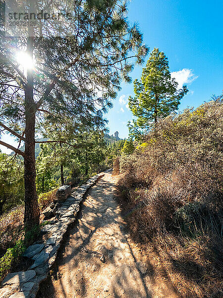 Trekking trails up Roque Nublo in Gran Canaria  Canary Islands