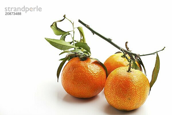 Three mandarins on a white background