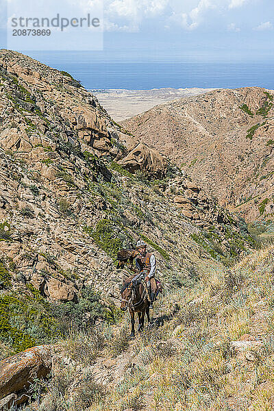 Traditional Kyrgyz eagle hunter riding with eagle in the mountains  hunting on horseback  near Bokonbayevo  Issyk Kul region  Kyrgyzstan  Asia