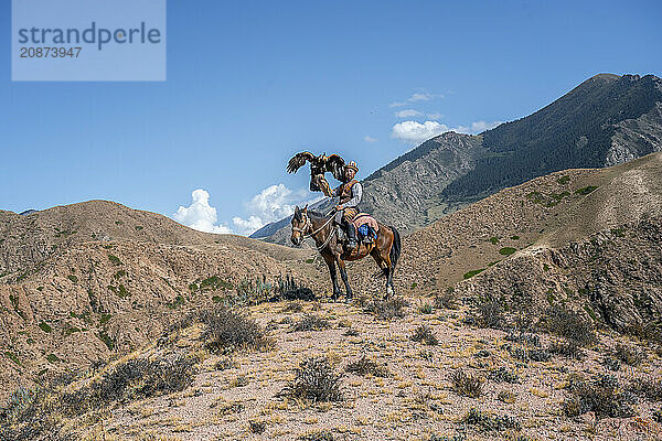 Traditional Kyrgyz eagle hunter riding with eagle in the mountains  eagle spreading its wings  hunting on horseback  near Bokonbayevo  Issyk Kul region  Kyrgyzstan  Asia