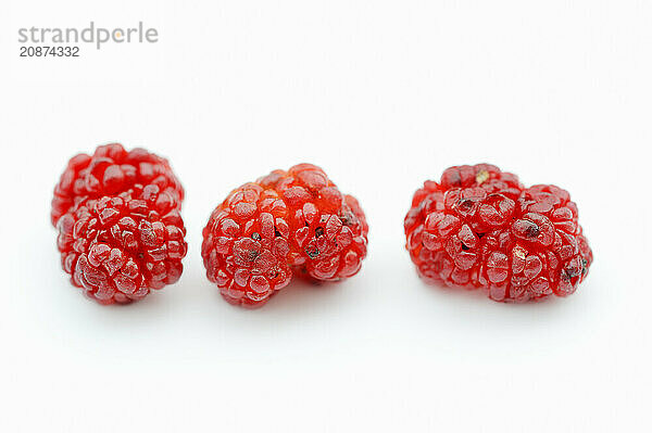 Strawberry spinach (Chenopodium foliosum  Blitum virgatum)  fruits on a white background  vegetable and ornamental plant