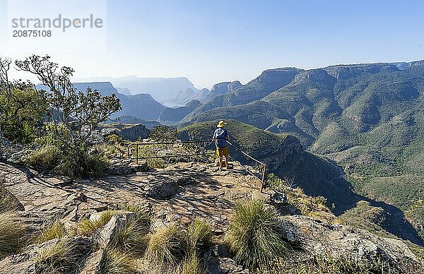 Tourist at the viewpoint  view of the Blyde River gorge  Lowveld Viewpoint  in the evening light  canyon landscape  Blyde River Canyon  Panorama Route  Mpumalanga  South Africa  Africa