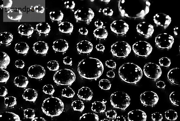 Water droplets on a black background. Macro shot