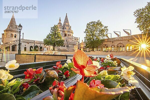 Old historic fortress and church at sunrise. City panorama at dusk. View of the Danube Fishermens Bastion  Halászbástya  Budapest  Hungary  Europe