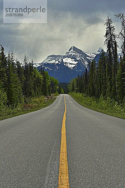 Along the Icefields Parkway. Alberta  Canada  North America