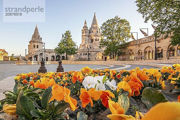 Old historic fortress and church at sunrise. City panorama at dusk. View of the Danube Fishermens Bastion  Halászbástya  Budapest  Hungary  Europe