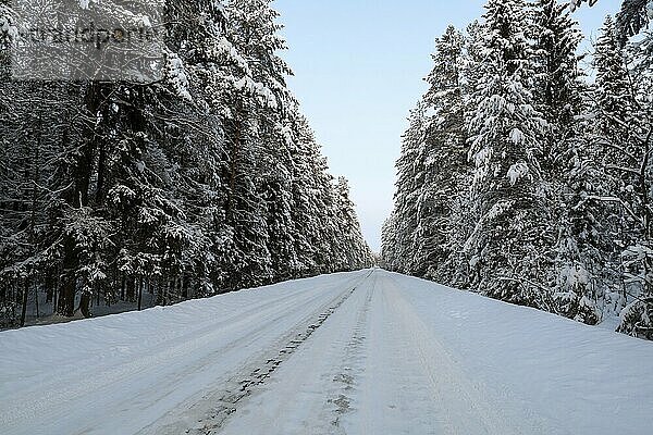 Beautiful winter landscape- mountain road in pine forest covered with snow