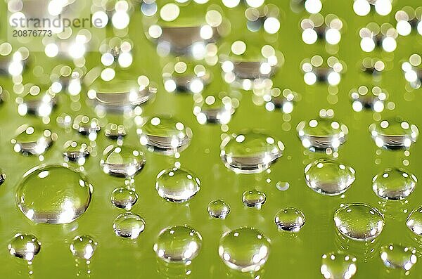 Morning dew on a green background. Macro shot