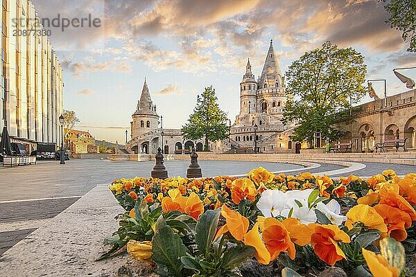 Old historic fortress and church at sunrise. City panorama at dusk. View of the Danube Fishermens Bastion  Halászbástya  Budapest  Hungary  Europe