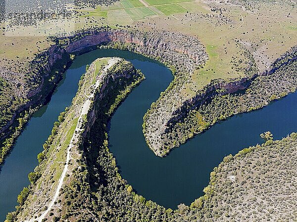 Panoramic view of a river running through dramatic gorges and dense vegetation  aerial view  gorge  Natural Park of the Gorges of the Duratón River  Duraton  Parque Natural de las Hoces del Río Duratón  Segovia  Valladolid  Castilla y León  Spain  KI generated  AI generated  Europe