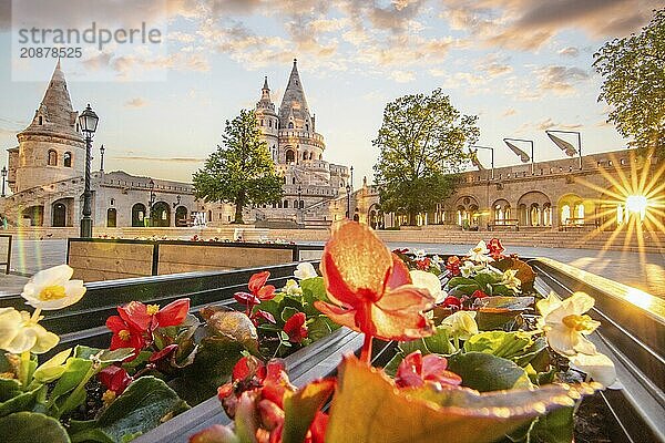 Old historic fortress and church at sunrise. City panorama at dusk. View of the Danube Fishermens Bastion  Halászbástya  Budapest  Hungary  Europe