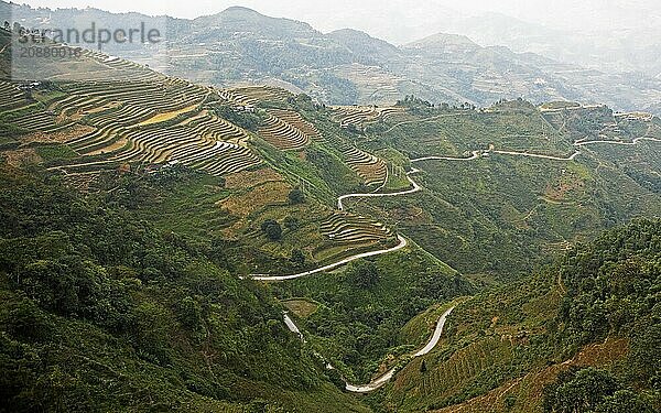 Road and terraced fields in the northern mountain landscape  Ha Giang province  Vietnam  Asia