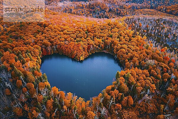 Heart shaped lake in middle of colorful autumn forest. Generative Ai  AI generated