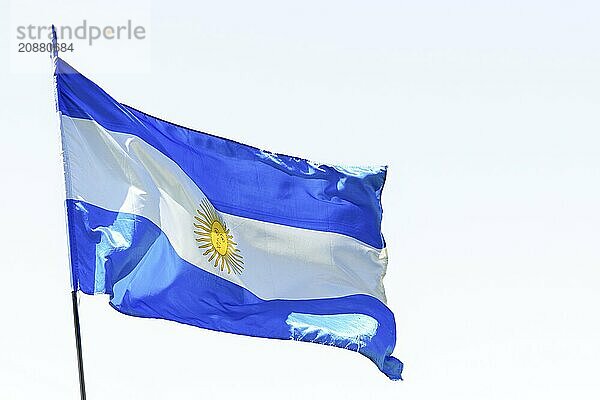 Flag of argentina waving in the wind isolated on white background and copy space