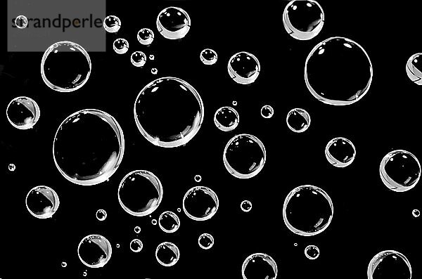 Water droplets on a black background. Macro shot