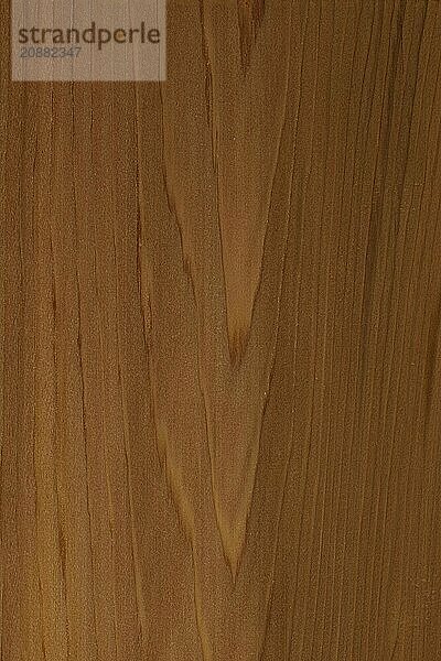 Background of wood grain from Aromatic Red Cedar or Eastern Red cedar  Juniperus virginiana  from Eastern North America