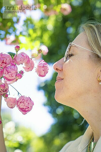 Woman enjoying the scent of a bouquet of pink roses in the summer garden  Böblingen  Germany  Europe