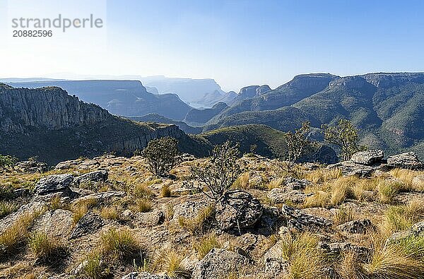 View of the Blyde River gorge  Lowveld Viewpoint  in the evening light  canyon landscape  Blyde River Canyon  Panorama Route  Mpumalanga  South Africa  Africa