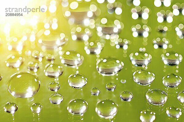 Morning dew on a green background. Macro shot