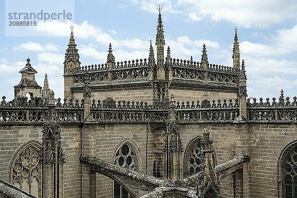 View from the Giralda  Seville Cathedral  Catedral de Santa Maria de la Sede  Seville  Andalusia  Spain  Europe