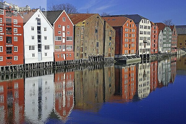 Row of colourful houses reflected in the water under a bright blue sky  Nidarelva  Trondheim  Norway  Europe