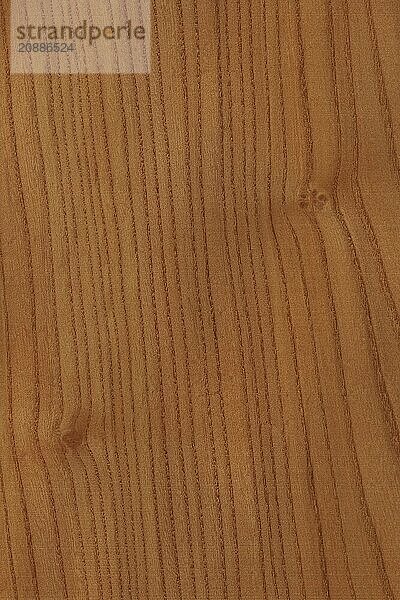 Background of wood grain from Red Elm  Ulmus rubra  aka Slippery Elm  Soft Elm  found in the Eastern to Midwest United States