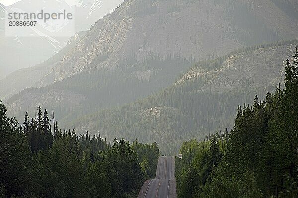 Mountain road through a misty forest with surrounding mountains in the background  Icefields Parkway  Jasper National Park  British Columbia  Canada  North America